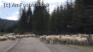 [P25]  -- <small>// FĂRĂ DESCRIERE</small> » foto by susu
 - 
<span class="allrVoted glyphicon glyphicon-heart hidden" id="av1075672"></span>
<a class="m-l-10 hidden" id="sv1075672" onclick="voting_Foto_DelVot(,1075672,18768)" role="button">șterge vot <span class="glyphicon glyphicon-remove"></span></a>
<a id="v91075672" class=" c-red"  onclick="voting_Foto_SetVot(1075672)" role="button"><span class="glyphicon glyphicon-heart-empty"></span> <b>LIKE</b> = Votează poza</a> <img class="hidden"  id="f1075672W9" src="/imagini/loader.gif" border="0" /><span class="AjErrMes hidden" id="e1075672ErM"></span>