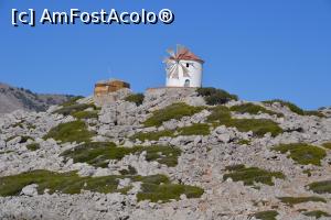 [P35] Symi » foto by Dorina9
 - 
<span class="allrVoted glyphicon glyphicon-heart hidden" id="av1155551"></span>
<a class="m-l-10 hidden" id="sv1155551" onclick="voting_Foto_DelVot(,1155551,18817)" role="button">șterge vot <span class="glyphicon glyphicon-remove"></span></a>
<a id="v91155551" class=" c-red"  onclick="voting_Foto_SetVot(1155551)" role="button"><span class="glyphicon glyphicon-heart-empty"></span> <b>LIKE</b> = Votează poza</a> <img class="hidden"  id="f1155551W9" src="/imagini/loader.gif" border="0" /><span class="AjErrMes hidden" id="e1155551ErM"></span>