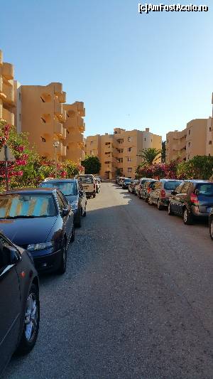 [P01] Aleea principala » foto by phleau
 - 
<span class="allrVoted glyphicon glyphicon-heart hidden" id="av642584"></span>
<a class="m-l-10 hidden" id="sv642584" onclick="voting_Foto_DelVot(,642584,18867)" role="button">șterge vot <span class="glyphicon glyphicon-remove"></span></a>
<a id="v9642584" class=" c-red"  onclick="voting_Foto_SetVot(642584)" role="button"><span class="glyphicon glyphicon-heart-empty"></span> <b>LIKE</b> = Votează poza</a> <img class="hidden"  id="f642584W9" src="/imagini/loader.gif" border="0" /><span class="AjErrMes hidden" id="e642584ErM"></span>