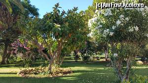 [P02] Gradinile hotelului » foto by phleau
 - 
<span class="allrVoted glyphicon glyphicon-heart hidden" id="av642585"></span>
<a class="m-l-10 hidden" id="sv642585" onclick="voting_Foto_DelVot(,642585,18867)" role="button">șterge vot <span class="glyphicon glyphicon-remove"></span></a>
<a id="v9642585" class=" c-red"  onclick="voting_Foto_SetVot(642585)" role="button"><span class="glyphicon glyphicon-heart-empty"></span> <b>LIKE</b> = Votează poza</a> <img class="hidden"  id="f642585W9" src="/imagini/loader.gif" border="0" /><span class="AjErrMes hidden" id="e642585ErM"></span>