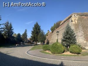 [P23] În șanțurile cetății » foto by AZE
 - 
<span class="allrVoted glyphicon glyphicon-heart hidden" id="av1394560"></span>
<a class="m-l-10 hidden" id="sv1394560" onclick="voting_Foto_DelVot(,1394560,18888)" role="button">șterge vot <span class="glyphicon glyphicon-remove"></span></a>
<a id="v91394560" class=" c-red"  onclick="voting_Foto_SetVot(1394560)" role="button"><span class="glyphicon glyphicon-heart-empty"></span> <b>LIKE</b> = Votează poza</a> <img class="hidden"  id="f1394560W9" src="/imagini/loader.gif" border="0" /><span class="AjErrMes hidden" id="e1394560ErM"></span>