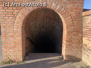[P34] Cobor din nou în șanțurile cetății » foto by AZE
 - 
<span class="allrVoted glyphicon glyphicon-heart hidden" id="av1394571"></span>
<a class="m-l-10 hidden" id="sv1394571" onclick="voting_Foto_DelVot(,1394571,18888)" role="button">șterge vot <span class="glyphicon glyphicon-remove"></span></a>
<a id="v91394571" class=" c-red"  onclick="voting_Foto_SetVot(1394571)" role="button"><span class="glyphicon glyphicon-heart-empty"></span> <b>LIKE</b> = Votează poza</a> <img class="hidden"  id="f1394571W9" src="/imagini/loader.gif" border="0" /><span class="AjErrMes hidden" id="e1394571ErM"></span>