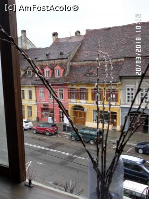 [P10] Vedere din cameră spre strada Piața Hermann Oberth. Mâțișori salvați și ”înfiați” de mine de la un copac toaletat din Cetate...  » foto by Alina53
 - 
<span class="allrVoted glyphicon glyphicon-heart hidden" id="av1101268"></span>
<a class="m-l-10 hidden" id="sv1101268" onclick="voting_Foto_DelVot(,1101268,18897)" role="button">șterge vot <span class="glyphicon glyphicon-remove"></span></a>
<a id="v91101268" class=" c-red"  onclick="voting_Foto_SetVot(1101268)" role="button"><span class="glyphicon glyphicon-heart-empty"></span> <b>LIKE</b> = Votează poza</a> <img class="hidden"  id="f1101268W9" src="/imagini/loader.gif" border="0" /><span class="AjErrMes hidden" id="e1101268ErM"></span>