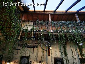 [P18] bicicleta suspendată din restaurant » foto by cata2106
 - 
<span class="allrVoted glyphicon glyphicon-heart hidden" id="av1267507"></span>
<a class="m-l-10 hidden" id="sv1267507" onclick="voting_Foto_DelVot(,1267507,18897)" role="button">șterge vot <span class="glyphicon glyphicon-remove"></span></a>
<a id="v91267507" class=" c-red"  onclick="voting_Foto_SetVot(1267507)" role="button"><span class="glyphicon glyphicon-heart-empty"></span> <b>LIKE</b> = Votează poza</a> <img class="hidden"  id="f1267507W9" src="/imagini/loader.gif" border="0" /><span class="AjErrMes hidden" id="e1267507ErM"></span>