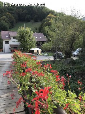 [P04] Pensiunea » foto by krisstinna
 - 
<span class="allrVoted glyphicon glyphicon-heart hidden" id="av1193027"></span>
<a class="m-l-10 hidden" id="sv1193027" onclick="voting_Foto_DelVot(,1193027,18901)" role="button">șterge vot <span class="glyphicon glyphicon-remove"></span></a>
<a id="v91193027" class=" c-red"  onclick="voting_Foto_SetVot(1193027)" role="button"><span class="glyphicon glyphicon-heart-empty"></span> <b>LIKE</b> = Votează poza</a> <img class="hidden"  id="f1193027W9" src="/imagini/loader.gif" border="0" /><span class="AjErrMes hidden" id="e1193027ErM"></span>