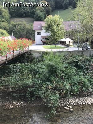 [P05] Floare de Colț » foto by krisstinna
 - 
<span class="allrVoted glyphicon glyphicon-heart hidden" id="av1193028"></span>
<a class="m-l-10 hidden" id="sv1193028" onclick="voting_Foto_DelVot(,1193028,18901)" role="button">șterge vot <span class="glyphicon glyphicon-remove"></span></a>
<a id="v91193028" class=" c-red"  onclick="voting_Foto_SetVot(1193028)" role="button"><span class="glyphicon glyphicon-heart-empty"></span> <b>LIKE</b> = Votează poza</a> <img class="hidden"  id="f1193028W9" src="/imagini/loader.gif" border="0" /><span class="AjErrMes hidden" id="e1193028ErM"></span>