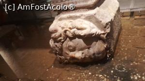 [P11] cap de meduza in pozitia culcat » foto by Yolanda
 - 
<span class="allrVoted glyphicon glyphicon-heart hidden" id="av1501891"></span>
<a class="m-l-10 hidden" id="sv1501891" onclick="voting_Foto_DelVot(,1501891,18902)" role="button">șterge vot <span class="glyphicon glyphicon-remove"></span></a>
<a id="v91501891" class=" c-red"  onclick="voting_Foto_SetVot(1501891)" role="button"><span class="glyphicon glyphicon-heart-empty"></span> <b>LIKE</b> = Votează poza</a> <img class="hidden"  id="f1501891W9" src="/imagini/loader.gif" border="0" /><span class="AjErrMes hidden" id="e1501891ErM"></span>