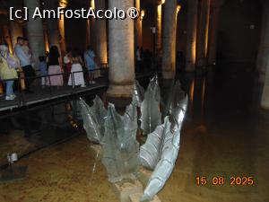 [P43] interior Cisterna Basilica, frunzele de gheata » foto by Yolanda
 - 
<span class="allrVoted glyphicon glyphicon-heart hidden" id="av1501923"></span>
<a class="m-l-10 hidden" id="sv1501923" onclick="voting_Foto_DelVot(,1501923,18902)" role="button">șterge vot <span class="glyphicon glyphicon-remove"></span></a>
<a id="v91501923" class=" c-red"  onclick="voting_Foto_SetVot(1501923)" role="button"><span class="glyphicon glyphicon-heart-empty"></span> <b>LIKE</b> = Votează poza</a> <img class="hidden"  id="f1501923W9" src="/imagini/loader.gif" border="0" /><span class="AjErrMes hidden" id="e1501923ErM"></span>