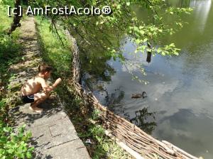 [P14] Lacul Ursu - Sovata. Nu era o singura rata. Eu doar pe asta am fotografiat-o ca era langa mal :)  » foto by vega06
 - 
<span class="allrVoted glyphicon glyphicon-heart hidden" id="av746242"></span>
<a class="m-l-10 hidden" id="sv746242" onclick="voting_Foto_DelVot(,746242,18907)" role="button">șterge vot <span class="glyphicon glyphicon-remove"></span></a>
<a id="v9746242" class=" c-red"  onclick="voting_Foto_SetVot(746242)" role="button"><span class="glyphicon glyphicon-heart-empty"></span> <b>LIKE</b> = Votează poza</a> <img class="hidden"  id="f746242W9" src="/imagini/loader.gif" border="0" /><span class="AjErrMes hidden" id="e746242ErM"></span>