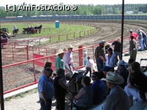 [P12] Rodeo - spectatori » foto by ebirsan
 - 
<span class="allrVoted glyphicon glyphicon-heart hidden" id="av739375"></span>
<a class="m-l-10 hidden" id="sv739375" onclick="voting_Foto_DelVot(,739375,18917)" role="button">șterge vot <span class="glyphicon glyphicon-remove"></span></a>
<a id="v9739375" class=" c-red"  onclick="voting_Foto_SetVot(739375)" role="button"><span class="glyphicon glyphicon-heart-empty"></span> <b>LIKE</b> = Votează poza</a> <img class="hidden"  id="f739375W9" src="/imagini/loader.gif" border="0" /><span class="AjErrMes hidden" id="e739375ErM"></span>