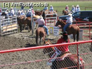 [P13] Rodeo - concurenti » foto by ebirsan
 - 
<span class="allrVoted glyphicon glyphicon-heart hidden" id="av739376"></span>
<a class="m-l-10 hidden" id="sv739376" onclick="voting_Foto_DelVot(,739376,18917)" role="button">șterge vot <span class="glyphicon glyphicon-remove"></span></a>
<a id="v9739376" class=" c-red"  onclick="voting_Foto_SetVot(739376)" role="button"><span class="glyphicon glyphicon-heart-empty"></span> <b>LIKE</b> = Votează poza</a> <img class="hidden"  id="f739376W9" src="/imagini/loader.gif" border="0" /><span class="AjErrMes hidden" id="e739376ErM"></span>