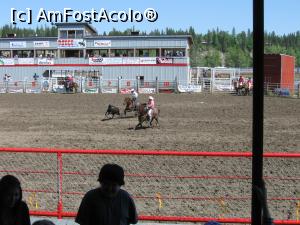 [P16] Rodeo - vitelul prins cu lasso-ul » foto by ebirsan
 - 
<span class="allrVoted glyphicon glyphicon-heart hidden" id="av739379"></span>
<a class="m-l-10 hidden" id="sv739379" onclick="voting_Foto_DelVot(,739379,18917)" role="button">șterge vot <span class="glyphicon glyphicon-remove"></span></a>
<a id="v9739379" class=" c-red"  onclick="voting_Foto_SetVot(739379)" role="button"><span class="glyphicon glyphicon-heart-empty"></span> <b>LIKE</b> = Votează poza</a> <img class="hidden"  id="f739379W9" src="/imagini/loader.gif" border="0" /><span class="AjErrMes hidden" id="e739379ErM"></span>