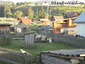 [P08] O gospodărie ceva mai jos de Pensiunea Poiana, Poiana Negri.  » foto by izabiza
 - 
<span class="allrVoted glyphicon glyphicon-heart hidden" id="av648052"></span>
<a class="m-l-10 hidden" id="sv648052" onclick="voting_Foto_DelVot(,648052,18958)" role="button">șterge vot <span class="glyphicon glyphicon-remove"></span></a>
<a id="v9648052" class=" c-red"  onclick="voting_Foto_SetVot(648052)" role="button"><span class="glyphicon glyphicon-heart-empty"></span> <b>LIKE</b> = Votează poza</a> <img class="hidden"  id="f648052W9" src="/imagini/loader.gif" border="0" /><span class="AjErrMes hidden" id="e648052ErM"></span>