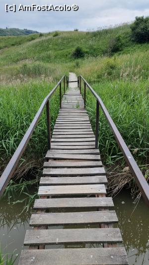 [P17] podeț pentru traversarea p&acirc;r&acirc;ului » foto by robert
 - 
<span class="allrVoted glyphicon glyphicon-heart hidden" id="av1338322"></span>
<a class="m-l-10 hidden" id="sv1338322" onclick="voting_Foto_DelVot(,1338322,19028)" role="button">șterge vot <span class="glyphicon glyphicon-remove"></span></a>
<a id="v91338322" class=" c-red"  onclick="voting_Foto_SetVot(1338322)" role="button"><span class="glyphicon glyphicon-heart-empty"></span> <b>LIKE</b> = Votează poza</a> <img class="hidden"  id="f1338322W9" src="/imagini/loader.gif" border="0" /><span class="AjErrMes hidden" id="e1338322ErM"></span>