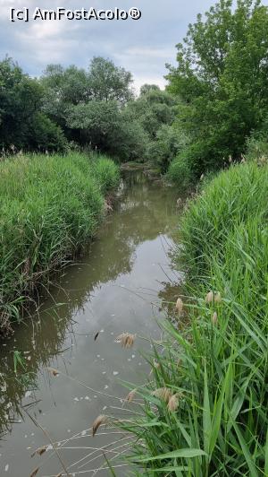 [P18] p&acirc;răul Corund » foto by robert
 - 
<span class="allrVoted glyphicon glyphicon-heart hidden" id="av1338323"></span>
<a class="m-l-10 hidden" id="sv1338323" onclick="voting_Foto_DelVot(,1338323,19028)" role="button">șterge vot <span class="glyphicon glyphicon-remove"></span></a>
<a id="v91338323" class=" c-red"  onclick="voting_Foto_SetVot(1338323)" role="button"><span class="glyphicon glyphicon-heart-empty"></span> <b>LIKE</b> = Votează poza</a> <img class="hidden"  id="f1338323W9" src="/imagini/loader.gif" border="0" /><span class="AjErrMes hidden" id="e1338323ErM"></span>