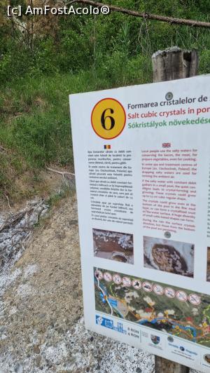 [P29] panou explicativ » foto by robert
 - 
<span class="allrVoted glyphicon glyphicon-heart hidden" id="av1338334"></span>
<a class="m-l-10 hidden" id="sv1338334" onclick="voting_Foto_DelVot(,1338334,19028)" role="button">șterge vot <span class="glyphicon glyphicon-remove"></span></a>
<a id="v91338334" class=" c-red"  onclick="voting_Foto_SetVot(1338334)" role="button"><span class="glyphicon glyphicon-heart-empty"></span> <b>LIKE</b> = Votează poza</a> <img class="hidden"  id="f1338334W9" src="/imagini/loader.gif" border="0" /><span class="AjErrMes hidden" id="e1338334ErM"></span>