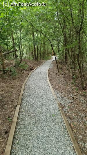 [P03] drumul prin pădure » foto by robert
 - 
<span class="allrVoted glyphicon glyphicon-heart hidden" id="av1338308"></span>
<a class="m-l-10 hidden" id="sv1338308" onclick="voting_Foto_DelVot(,1338308,19028)" role="button">șterge vot <span class="glyphicon glyphicon-remove"></span></a>
<a id="v91338308" class=" c-red"  onclick="voting_Foto_SetVot(1338308)" role="button"><span class="glyphicon glyphicon-heart-empty"></span> <b>LIKE</b> = Votează poza</a> <img class="hidden"  id="f1338308W9" src="/imagini/loader.gif" border="0" /><span class="AjErrMes hidden" id="e1338308ErM"></span>