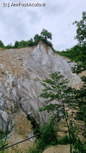 [P35] muntele de sare » foto by robert
 - 
<span class="allrVoted glyphicon glyphicon-heart hidden" id="av1338340"></span>
<a class="m-l-10 hidden" id="sv1338340" onclick="voting_Foto_DelVot(,1338340,19028)" role="button">șterge vot <span class="glyphicon glyphicon-remove"></span></a>
<a id="v91338340" class=" c-red"  onclick="voting_Foto_SetVot(1338340)" role="button"><span class="glyphicon glyphicon-heart-empty"></span> <b>LIKE</b> = Votează poza</a> <img class="hidden"  id="f1338340W9" src="/imagini/loader.gif" border="0" /><span class="AjErrMes hidden" id="e1338340ErM"></span>