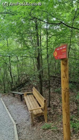 [P04] băncuță &icirc;n pădure » foto by robert
 - 
<span class="allrVoted glyphicon glyphicon-heart hidden" id="av1338309"></span>
<a class="m-l-10 hidden" id="sv1338309" onclick="voting_Foto_DelVot(,1338309,19028)" role="button">șterge vot <span class="glyphicon glyphicon-remove"></span></a>
<a id="v91338309" class=" c-red"  onclick="voting_Foto_SetVot(1338309)" role="button"><span class="glyphicon glyphicon-heart-empty"></span> <b>LIKE</b> = Votează poza</a> <img class="hidden"  id="f1338309W9" src="/imagini/loader.gif" border="0" /><span class="AjErrMes hidden" id="e1338309ErM"></span>