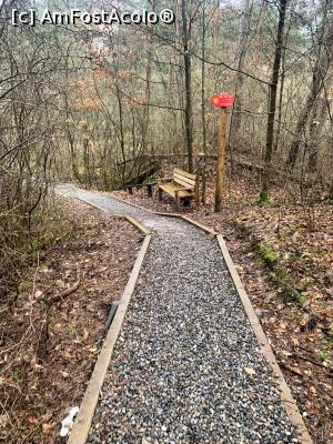 [P03] Cărarea din pădure » foto by AZE
 - 
<span class="allrVoted glyphicon glyphicon-heart hidden" id="av1360506"></span>
<a class="m-l-10 hidden" id="sv1360506" onclick="voting_Foto_DelVot(,1360506,19028)" role="button">șterge vot <span class="glyphicon glyphicon-remove"></span></a>
<a id="v91360506" class=" c-red"  onclick="voting_Foto_SetVot(1360506)" role="button"><span class="glyphicon glyphicon-heart-empty"></span> <b>LIKE</b> = Votează poza</a> <img class="hidden"  id="f1360506W9" src="/imagini/loader.gif" border="0" /><span class="AjErrMes hidden" id="e1360506ErM"></span>