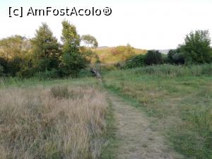 [P12] Spre muntele de sare » foto by ⭐ValentinB_88⭐
 - 
<span class="allrVoted glyphicon glyphicon-heart hidden" id="av1209815"></span>
<a class="m-l-10 hidden" id="sv1209815" onclick="voting_Foto_DelVot(,1209815,19028)" role="button">șterge vot <span class="glyphicon glyphicon-remove"></span></a>
<a id="v91209815" class=" c-red"  onclick="voting_Foto_SetVot(1209815)" role="button"><span class="glyphicon glyphicon-heart-empty"></span> <b>LIKE</b> = Votează poza</a> <img class="hidden"  id="f1209815W9" src="/imagini/loader.gif" border="0" /><span class="AjErrMes hidden" id="e1209815ErM"></span>