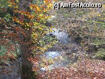 [P16] toamna bate la use » foto by dorgo
 - 
<span class="allrVoted glyphicon glyphicon-heart hidden" id="av88777"></span>
<a class="m-l-10 hidden" id="sv88777" onclick="voting_Foto_DelVot(,88777,19028)" role="button">șterge vot <span class="glyphicon glyphicon-remove"></span></a>
<a id="v988777" class=" c-red"  onclick="voting_Foto_SetVot(88777)" role="button"><span class="glyphicon glyphicon-heart-empty"></span> <b>LIKE</b> = Votează poza</a> <img class="hidden"  id="f88777W9" src="/imagini/loader.gif" border="0" /><span class="AjErrMes hidden" id="e88777ErM"></span>