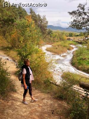 [P01] Canionul  Sarii din Praid » foto by dorgo
 - 
<span class="allrVoted glyphicon glyphicon-heart hidden" id="av1225689"></span>
<a class="m-l-10 hidden" id="sv1225689" onclick="voting_Foto_DelVot(,1225689,19028)" role="button">șterge vot <span class="glyphicon glyphicon-remove"></span></a>
<a id="v91225689" class=" c-red"  onclick="voting_Foto_SetVot(1225689)" role="button"><span class="glyphicon glyphicon-heart-empty"></span> <b>LIKE</b> = Votează poza</a> <img class="hidden"  id="f1225689W9" src="/imagini/loader.gif" border="0" /><span class="AjErrMes hidden" id="e1225689ErM"></span>