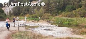 [P04] Aici va trebui s-ajungem, in capatul canionului » foto by dorgo
 - 
<span class="allrVoted glyphicon glyphicon-heart hidden" id="av1225692"></span>
<a class="m-l-10 hidden" id="sv1225692" onclick="voting_Foto_DelVot(,1225692,19028)" role="button">șterge vot <span class="glyphicon glyphicon-remove"></span></a>
<a id="v91225692" class=" c-red"  onclick="voting_Foto_SetVot(1225692)" role="button"><span class="glyphicon glyphicon-heart-empty"></span> <b>LIKE</b> = Votează poza</a> <img class="hidden"  id="f1225692W9" src="/imagini/loader.gif" border="0" /><span class="AjErrMes hidden" id="e1225692ErM"></span>