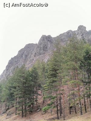 [P10] Cheile Galbenului. » foto by tata123 🔱
 - 
<span class="allrVoted glyphicon glyphicon-heart hidden" id="av1352556"></span>
<a class="m-l-10 hidden" id="sv1352556" onclick="voting_Foto_DelVot(,1352556,19120)" role="button">șterge vot <span class="glyphicon glyphicon-remove"></span></a>
<a id="v91352556" class=" c-red"  onclick="voting_Foto_SetVot(1352556)" role="button"><span class="glyphicon glyphicon-heart-empty"></span> <b>LIKE</b> = Votează poza</a> <img class="hidden"  id="f1352556W9" src="/imagini/loader.gif" border="0" /><span class="AjErrMes hidden" id="e1352556ErM"></span>