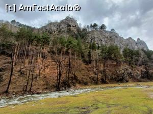 [P08] Apă, vegetație și piatră. » foto by tata123 🔱
 - 
<span class="allrVoted glyphicon glyphicon-heart hidden" id="av1352554"></span>
<a class="m-l-10 hidden" id="sv1352554" onclick="voting_Foto_DelVot(,1352554,19120)" role="button">șterge vot <span class="glyphicon glyphicon-remove"></span></a>
<a id="v91352554" class=" c-red"  onclick="voting_Foto_SetVot(1352554)" role="button"><span class="glyphicon glyphicon-heart-empty"></span> <b>LIKE</b> = Votează poza</a> <img class="hidden"  id="f1352554W9" src="/imagini/loader.gif" border="0" /><span class="AjErrMes hidden" id="e1352554ErM"></span>