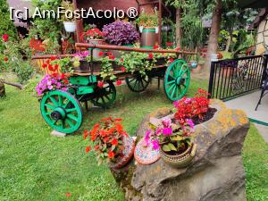 [P15] Restaurant Orizont - grădina » foto by crismis
 - 
<span class="allrVoted glyphicon glyphicon-heart hidden" id="av1416319"></span>
<a class="m-l-10 hidden" id="sv1416319" onclick="voting_Foto_DelVot(,1416319,19156)" role="button">șterge vot <span class="glyphicon glyphicon-remove"></span></a>
<a id="v91416319" class=" c-red"  onclick="voting_Foto_SetVot(1416319)" role="button"><span class="glyphicon glyphicon-heart-empty"></span> <b>LIKE</b> = Votează poza</a> <img class="hidden"  id="f1416319W9" src="/imagini/loader.gif" border="0" /><span class="AjErrMes hidden" id="e1416319ErM"></span>