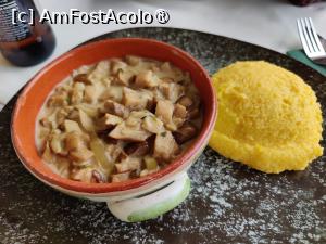 [P37] Grădinile Romane; hribi cu mămăligă » foto by crismis
 - 
<span class="allrVoted glyphicon glyphicon-heart hidden" id="av1416687"></span>
<a class="m-l-10 hidden" id="sv1416687" onclick="voting_Foto_DelVot(,1416687,19156)" role="button">șterge vot <span class="glyphicon glyphicon-remove"></span></a>
<a id="v91416687" class=" c-red"  onclick="voting_Foto_SetVot(1416687)" role="button"><span class="glyphicon glyphicon-heart-empty"></span> <b>LIKE</b> = Votează poza</a> <img class="hidden"  id="f1416687W9" src="/imagini/loader.gif" border="0" /><span class="AjErrMes hidden" id="e1416687ErM"></span>