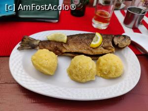 [P08] Bibanu - m&acirc;ncare simplă și bună » foto by crismis
 - 
<span class="allrVoted glyphicon glyphicon-heart hidden" id="av1416658"></span>
<a class="m-l-10 hidden" id="sv1416658" onclick="voting_Foto_DelVot(,1416658,19156)" role="button">șterge vot <span class="glyphicon glyphicon-remove"></span></a>
<a id="v91416658" class=" c-red"  onclick="voting_Foto_SetVot(1416658)" role="button"><span class="glyphicon glyphicon-heart-empty"></span> <b>LIKE</b> = Votează poza</a> <img class="hidden"  id="f1416658W9" src="/imagini/loader.gif" border="0" /><span class="AjErrMes hidden" id="e1416658ErM"></span>