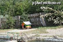 [P16] primul aparator de nadejde: Mox » foto by Sanziana
 - 
<span class="allrVoted glyphicon glyphicon-heart hidden" id="av138303"></span>
<a class="m-l-10 hidden" id="sv138303" onclick="voting_Foto_DelVot(,138303,19156)" role="button">șterge vot <span class="glyphicon glyphicon-remove"></span></a>
<a id="v9138303" class=" c-red"  onclick="voting_Foto_SetVot(138303)" role="button"><span class="glyphicon glyphicon-heart-empty"></span> <b>LIKE</b> = Votează poza</a> <img class="hidden"  id="f138303W9" src="/imagini/loader.gif" border="0" /><span class="AjErrMes hidden" id="e138303ErM"></span>