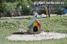 [P20] Tache fiind la somn, a ramas Ianche de veghe » foto by Sanziana
 - 
<span class="allrVoted glyphicon glyphicon-heart hidden" id="av138307"></span>
<a class="m-l-10 hidden" id="sv138307" onclick="voting_Foto_DelVot(,138307,19156)" role="button">șterge vot <span class="glyphicon glyphicon-remove"></span></a>
<a id="v9138307" class=" c-red"  onclick="voting_Foto_SetVot(138307)" role="button"><span class="glyphicon glyphicon-heart-empty"></span> <b>LIKE</b> = Votează poza</a> <img class="hidden"  id="f138307W9" src="/imagini/loader.gif" border="0" /><span class="AjErrMes hidden" id="e138307ErM"></span>