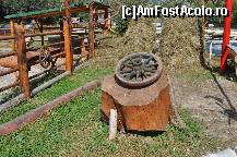 [P03] nu putea sa lipseasca si coltul gospodarilor cu capite de fan frumos mirositoare » foto by Sanziana
 - 
<span class="allrVoted glyphicon glyphicon-heart hidden" id="av138271"></span>
<a class="m-l-10 hidden" id="sv138271" onclick="voting_Foto_DelVot(,138271,19156)" role="button">șterge vot <span class="glyphicon glyphicon-remove"></span></a>
<a id="v9138271" class=" c-red"  onclick="voting_Foto_SetVot(138271)" role="button"><span class="glyphicon glyphicon-heart-empty"></span> <b>LIKE</b> = Votează poza</a> <img class="hidden"  id="f138271W9" src="/imagini/loader.gif" border="0" /><span class="AjErrMes hidden" id="e138271ErM"></span>