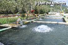 [P04] o parte din bazinenele cu pastravi-foarte curate si ingrijite » foto by Sanziana
 - 
<span class="allrVoted glyphicon glyphicon-heart hidden" id="av138272"></span>
<a class="m-l-10 hidden" id="sv138272" onclick="voting_Foto_DelVot(,138272,19156)" role="button">șterge vot <span class="glyphicon glyphicon-remove"></span></a>
<a id="v9138272" class=" c-red"  onclick="voting_Foto_SetVot(138272)" role="button"><span class="glyphicon glyphicon-heart-empty"></span> <b>LIKE</b> = Votează poza</a> <img class="hidden"  id="f138272W9" src="/imagini/loader.gif" border="0" /><span class="AjErrMes hidden" id="e138272ErM"></span>