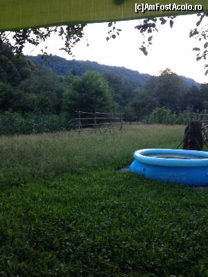 [P02] Aceasta este piscina, nu cea din pozele de pe internet. Este o piscina gonflabila, cu apa murdara!!!  » foto by Coana Sofica
 - 
<span class="allrVoted glyphicon glyphicon-heart hidden" id="av659532"></span>
<a class="m-l-10 hidden" id="sv659532" onclick="voting_Foto_DelVot(,659532,19181)" role="button">șterge vot <span class="glyphicon glyphicon-remove"></span></a>
<a id="v9659532" class=" c-red"  onclick="voting_Foto_SetVot(659532)" role="button"><span class="glyphicon glyphicon-heart-empty"></span> <b>LIKE</b> = Votează poza</a> <img class="hidden"  id="f659532W9" src="/imagini/loader.gif" border="0" /><span class="AjErrMes hidden" id="e659532ErM"></span>