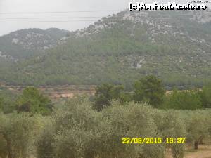 [P03] dormitorul cu vedere la munte!  » foto by sdanutza
 - 
<span class="allrVoted glyphicon glyphicon-heart hidden" id="av660763"></span>
<a class="m-l-10 hidden" id="sv660763" onclick="voting_Foto_DelVot(,660763,19213)" role="button">șterge vot <span class="glyphicon glyphicon-remove"></span></a>
<a id="v9660763" class=" c-red"  onclick="voting_Foto_SetVot(660763)" role="button"><span class="glyphicon glyphicon-heart-empty"></span> <b>LIKE</b> = Votează poza</a> <img class="hidden"  id="f660763W9" src="/imagini/loader.gif" border="0" /><span class="AjErrMes hidden" id="e660763ErM"></span>