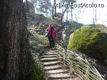 [P23] In drum spre Manastirea Sf.Nectarie,ocrotitorul bonavilor de cancer » foto by ghemonica
 - 
<span class="allrVoted glyphicon glyphicon-heart hidden" id="av238142"></span>
<a class="m-l-10 hidden" id="sv238142" onclick="voting_Foto_DelVot(,238142,19238)" role="button">șterge vot <span class="glyphicon glyphicon-remove"></span></a>
<a id="v9238142" class=" c-red"  onclick="voting_Foto_SetVot(238142)" role="button"><span class="glyphicon glyphicon-heart-empty"></span> <b>LIKE</b> = Votează poza</a> <img class="hidden"  id="f238142W9" src="/imagini/loader.gif" border="0" /><span class="AjErrMes hidden" id="e238142ErM"></span>