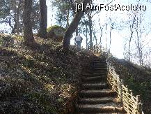 [P32] Scarile ce urca spre Manastirea Sf.Nectarie,impodobite cu impletitura de nuiele » foto by ghemonica
 - 
<span class="allrVoted glyphicon glyphicon-heart hidden" id="av238154"></span>
<a class="m-l-10 hidden" id="sv238154" onclick="voting_Foto_DelVot(,238154,19238)" role="button">șterge vot <span class="glyphicon glyphicon-remove"></span></a>
<a id="v9238154" class=" c-red"  onclick="voting_Foto_SetVot(238154)" role="button"><span class="glyphicon glyphicon-heart-empty"></span> <b>LIKE</b> = Votează poza</a> <img class="hidden"  id="f238154W9" src="/imagini/loader.gif" border="0" /><span class="AjErrMes hidden" id="e238154ErM"></span>