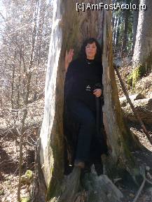 [P07] In cautarea misterelor... » foto by ghemonica
 - 
<span class="allrVoted glyphicon glyphicon-heart hidden" id="av238126"></span>
<a class="m-l-10 hidden" id="sv238126" onclick="voting_Foto_DelVot(,238126,19238)" role="button">șterge vot <span class="glyphicon glyphicon-remove"></span></a>
<a id="v9238126" class=" c-red"  onclick="voting_Foto_SetVot(238126)" role="button"><span class="glyphicon glyphicon-heart-empty"></span> <b>LIKE</b> = Votează poza</a> <img class="hidden"  id="f238126W9" src="/imagini/loader.gif" border="0" /><span class="AjErrMes hidden" id="e238126ErM"></span>