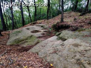 [P09] Templul iniţiatic de la Şinca Veche » foto by STEFAN-CRISTIAN
 - 
<span class="allrVoted glyphicon glyphicon-heart hidden" id="av1196324"></span>
<a class="m-l-10 hidden" id="sv1196324" onclick="voting_Foto_DelVot(,1196324,19238)" role="button">șterge vot <span class="glyphicon glyphicon-remove"></span></a>
<a id="v91196324" class=" c-red"  onclick="voting_Foto_SetVot(1196324)" role="button"><span class="glyphicon glyphicon-heart-empty"></span> <b>LIKE</b> = Votează poza</a> <img class="hidden"  id="f1196324W9" src="/imagini/loader.gif" border="0" /><span class="AjErrMes hidden" id="e1196324ErM"></span>