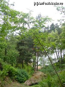 [P22] Sinca Veche - Templul Ursitelor - imprejurimi, in fundal templul » foto by magdalena
 - 
<span class="allrVoted glyphicon glyphicon-heart hidden" id="av215772"></span>
<a class="m-l-10 hidden" id="sv215772" onclick="voting_Foto_DelVot(,215772,19238)" role="button">șterge vot <span class="glyphicon glyphicon-remove"></span></a>
<a id="v9215772" class=" c-red"  onclick="voting_Foto_SetVot(215772)" role="button"><span class="glyphicon glyphicon-heart-empty"></span> <b>LIKE</b> = Votează poza</a> <img class="hidden"  id="f215772W9" src="/imagini/loader.gif" border="0" /><span class="AjErrMes hidden" id="e215772ErM"></span>