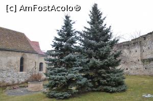 [P26]  -- <small>// FĂRĂ DESCRIERE</small> » foto by AZE
 - 
<span class="allrVoted glyphicon glyphicon-heart hidden" id="av832704"></span>
<a class="m-l-10 hidden" id="sv832704" onclick="voting_Foto_DelVot(,832704,19242)" role="button">șterge vot <span class="glyphicon glyphicon-remove"></span></a>
<a id="v9832704" class=" c-red"  onclick="voting_Foto_SetVot(832704)" role="button"><span class="glyphicon glyphicon-heart-empty"></span> <b>LIKE</b> = Votează poza</a> <img class="hidden"  id="f832704W9" src="/imagini/loader.gif" border="0" /><span class="AjErrMes hidden" id="e832704ErM"></span>