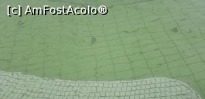 [P04] bazin termal murdar » foto by dany1969
 - 
<span class="allrVoted glyphicon glyphicon-heart hidden" id="av1179752"></span>
<a class="m-l-10 hidden" id="sv1179752" onclick="voting_Foto_DelVot(,1179752,19310)" role="button">șterge vot <span class="glyphicon glyphicon-remove"></span></a>
<a id="v91179752" class=" c-red"  onclick="voting_Foto_SetVot(1179752)" role="button"><span class="glyphicon glyphicon-heart-empty"></span> <b>LIKE</b> = Votează poza</a> <img class="hidden"  id="f1179752W9" src="/imagini/loader.gif" border="0" /><span class="AjErrMes hidden" id="e1179752ErM"></span>