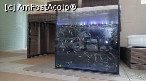 [P38] Lotus Therm Hotel - centrul SPA Felixarium » foto by Dragoș_MD
 - 
<span class="allrVoted glyphicon glyphicon-heart hidden" id="av1043234"></span>
<a class="m-l-10 hidden" id="sv1043234" onclick="voting_Foto_DelVot(,1043234,19310)" role="button">șterge vot <span class="glyphicon glyphicon-remove"></span></a>
<a id="v91043234" class=" c-red"  onclick="voting_Foto_SetVot(1043234)" role="button"><span class="glyphicon glyphicon-heart-empty"></span> <b>LIKE</b> = Votează poza</a> <img class="hidden"  id="f1043234W9" src="/imagini/loader.gif" border="0" /><span class="AjErrMes hidden" id="e1043234ErM"></span>