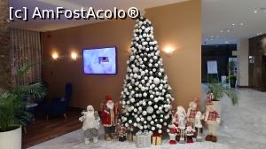 [P06] Lotus Therm Hotel - pomul de Crăciun, deja pregătit » foto by Dragoș_MD
 - 
<span class="allrVoted glyphicon glyphicon-heart hidden" id="av1043193"></span>
<a class="m-l-10 hidden" id="sv1043193" onclick="voting_Foto_DelVot(,1043193,19310)" role="button">șterge vot <span class="glyphicon glyphicon-remove"></span></a>
<a id="v91043193" class=" c-red"  onclick="voting_Foto_SetVot(1043193)" role="button"><span class="glyphicon glyphicon-heart-empty"></span> <b>LIKE</b> = Votează poza</a> <img class="hidden"  id="f1043193W9" src="/imagini/loader.gif" border="0" /><span class="AjErrMes hidden" id="e1043193ErM"></span>