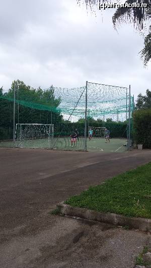 [P09] teren fotbal » foto by gabri_oana
 - 
<span class="allrVoted glyphicon glyphicon-heart hidden" id="av668564"></span>
<a class="m-l-10 hidden" id="sv668564" onclick="voting_Foto_DelVot(,668564,19324)" role="button">șterge vot <span class="glyphicon glyphicon-remove"></span></a>
<a id="v9668564" class=" c-red"  onclick="voting_Foto_SetVot(668564)" role="button"><span class="glyphicon glyphicon-heart-empty"></span> <b>LIKE</b> = Votează poza</a> <img class="hidden"  id="f668564W9" src="/imagini/loader.gif" border="0" /><span class="AjErrMes hidden" id="e668564ErM"></span>
