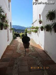 [P79] una dintre gradinile palatului mondragon » foto by a.sr*
 - 
<span class="allrVoted glyphicon glyphicon-heart hidden" id="av279836"></span>
<a class="m-l-10 hidden" id="sv279836" onclick="voting_Foto_DelVot(,279836,19508)" role="button">șterge vot <span class="glyphicon glyphicon-remove"></span></a>
<a id="v9279836" class=" c-red"  onclick="voting_Foto_SetVot(279836)" role="button"><span class="glyphicon glyphicon-heart-empty"></span> <b>LIKE</b> = Votează poza</a> <img class="hidden"  id="f279836W9" src="/imagini/loader.gif" border="0" /><span class="AjErrMes hidden" id="e279836ErM"></span>